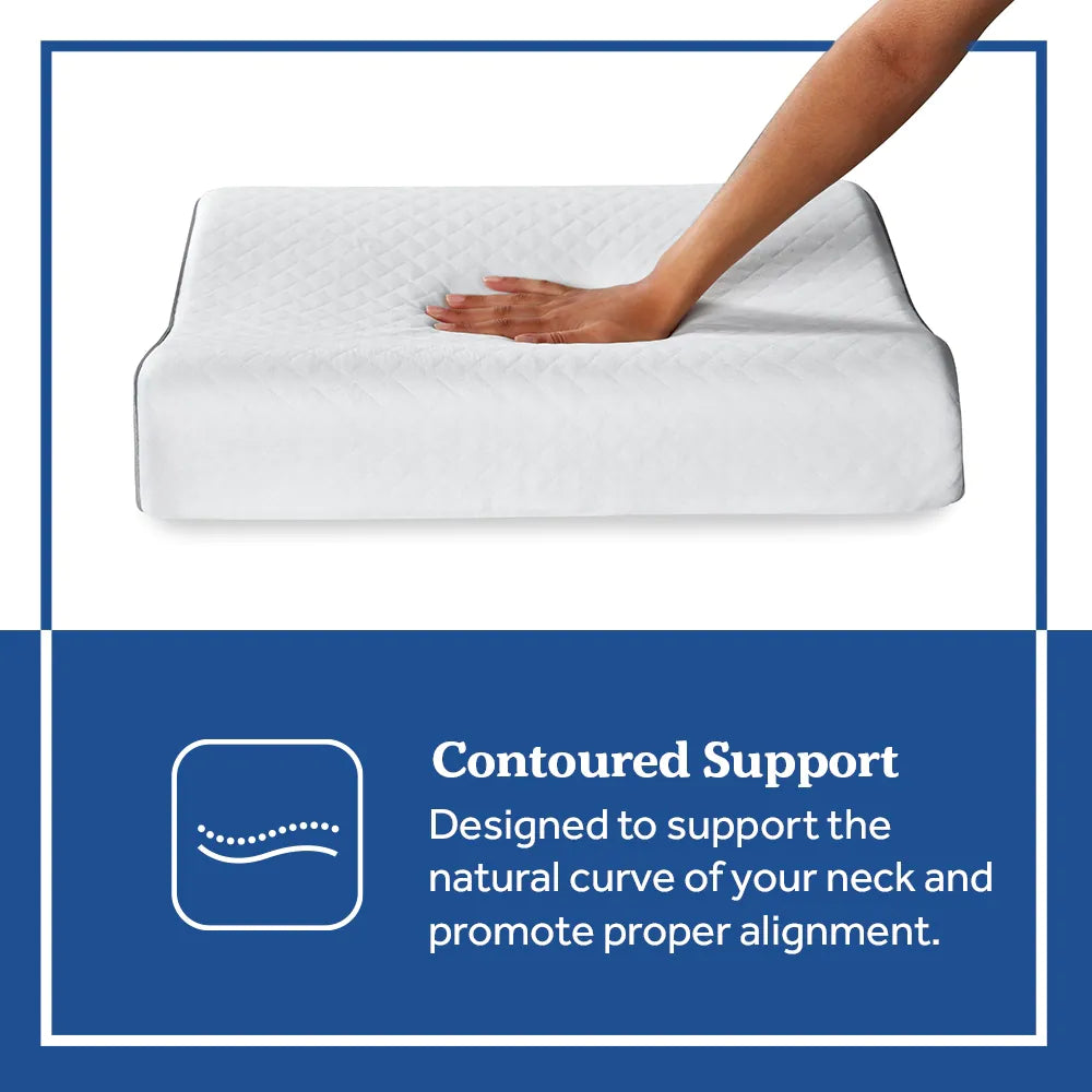 Sealy Essentials Contour Curve Memory Foam Pillow Sealy